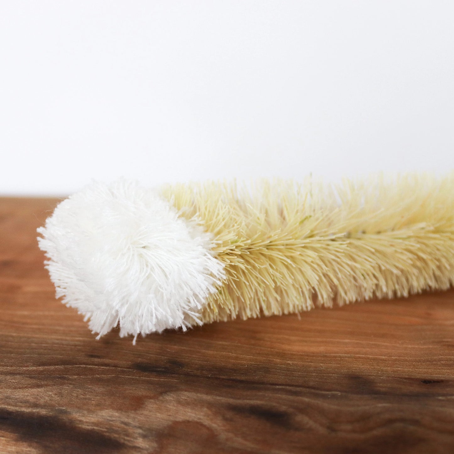 Top of bottle brush showing cotton tip and sisal bristles. 