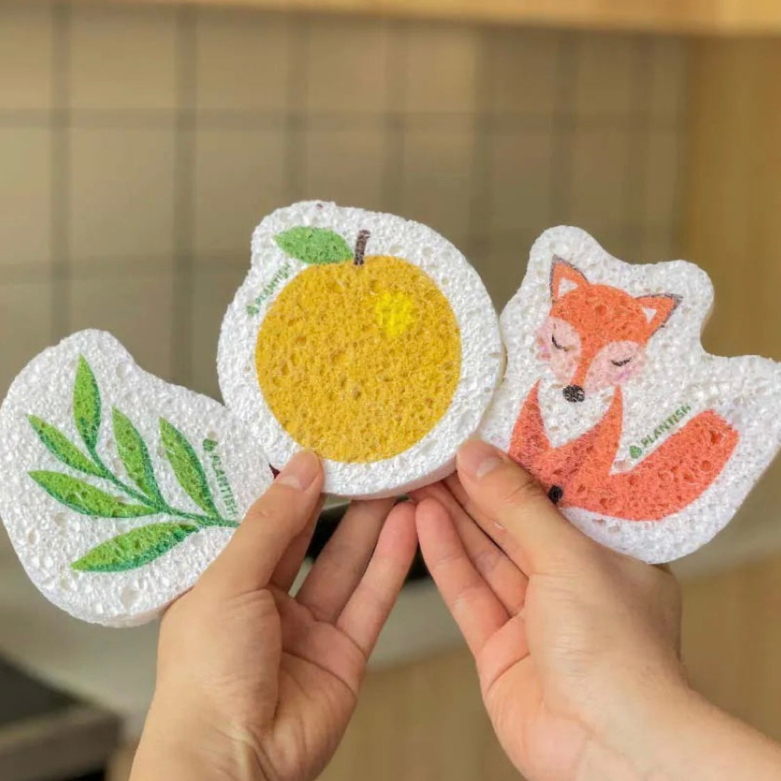 plantish pop up sponge