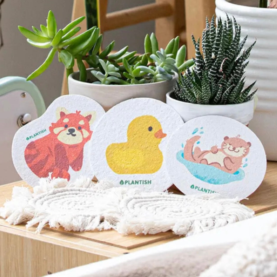 plantish pop up sponge